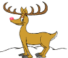 REINDEER