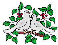 Doves