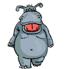 hippo