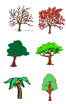 Trees