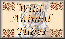 WILD ANIMAL TUBES