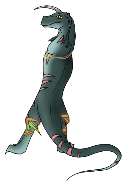 Tribe's Shaman