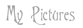 pic.gif (1187 bytes)