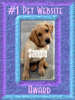 #1 Pet Website - Sample 2