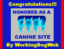 Eye Catching n' Cool Award! 5/02 - We're really proud of this one! We won for 'Eye-catching & Cool!' Thanx WorkingDogWeb!