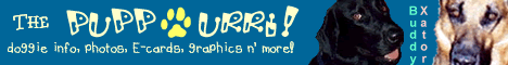 Banner 3