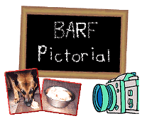 BARF Pictorial