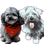The Puppourri Pals!