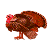 /user/Turkey_2.gif