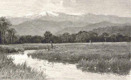 199 The Upper Murray and Mount Dargal