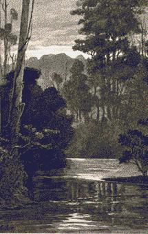 245 Evening on the Yarra.JPG (40531 bytes)