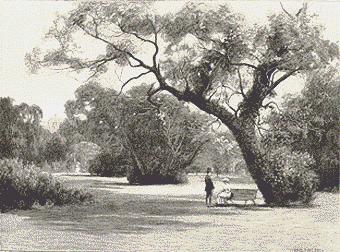 252 In the Botanic Gardens 2