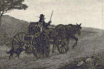 258 A Colac Rabbit Trapper
