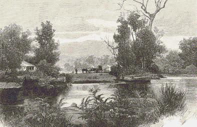300 Graceburne River