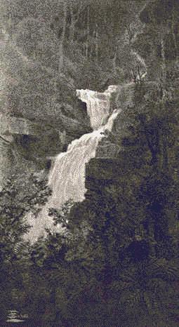 303 Steavenson's Falls