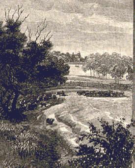 023 The Cow-Pastures, Camden Park