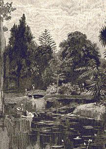 091 In the Botanic Gardens