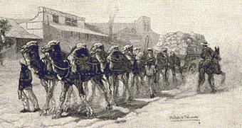 130 Camel Team, Wilcannia
