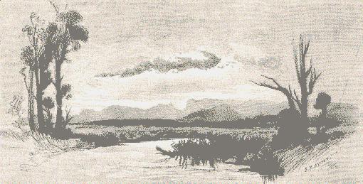 321 Cunningham's Gap