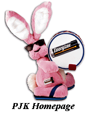 bunny