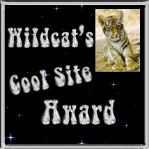 Cool Site Award