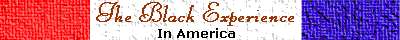 Black Experience
