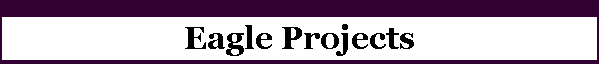 Eagle Projects