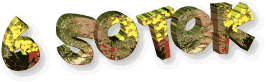 6sotok