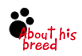 Read about Jake's breed!