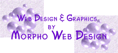 Morpho Web Design