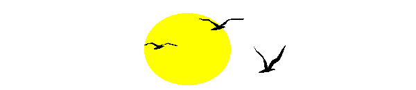 Sun and Birds