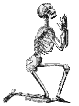 skeleton
