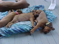 nap_time