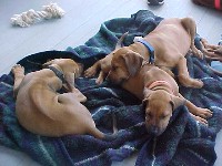 nap_time