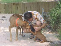making new friends
