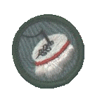  GSA Needlework Badge