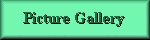 Picture Gallery