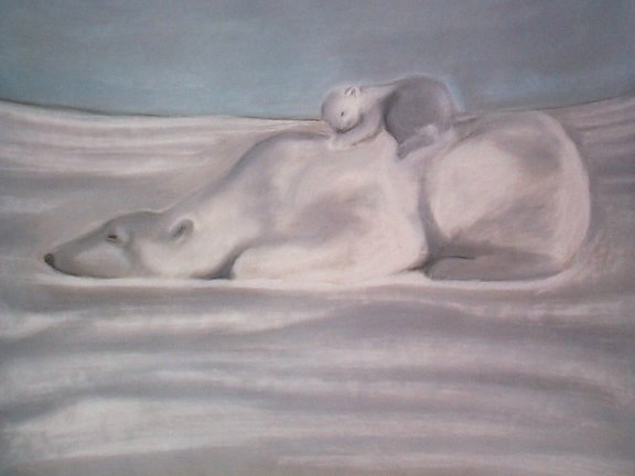 polar bears