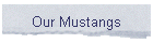 Our Mustangs