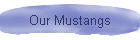 Our Mustangs
