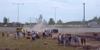 blazer.1.gif - 5454 Bytes