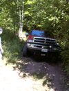 midtown.1.gif - 12802 Bytes