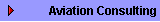 Aviation Consulting