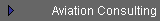 Aviation Consulting