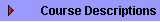 Course Descriptions