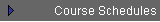 Course Schedules