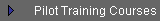 Pilot Training Courses