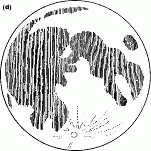 Lunar Crab