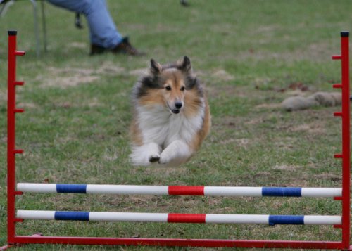 Spice jumping
