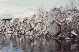 Icy Albany Riverbank